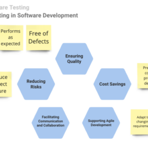 The Role of Testing in Software Development