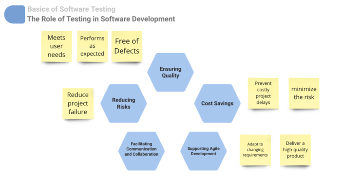 The Role of Testing in Software Development