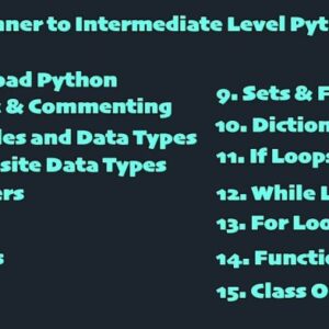 Understanding the Basics of Python for Beginners