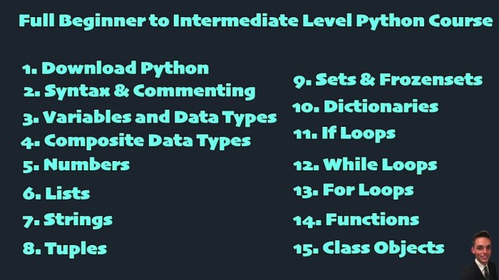 Understanding the Basics of Python for Beginners