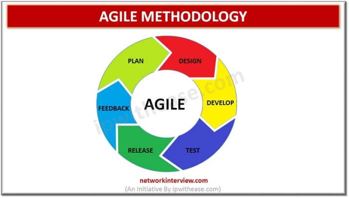 Introduction to Agile Methodology in Software Development