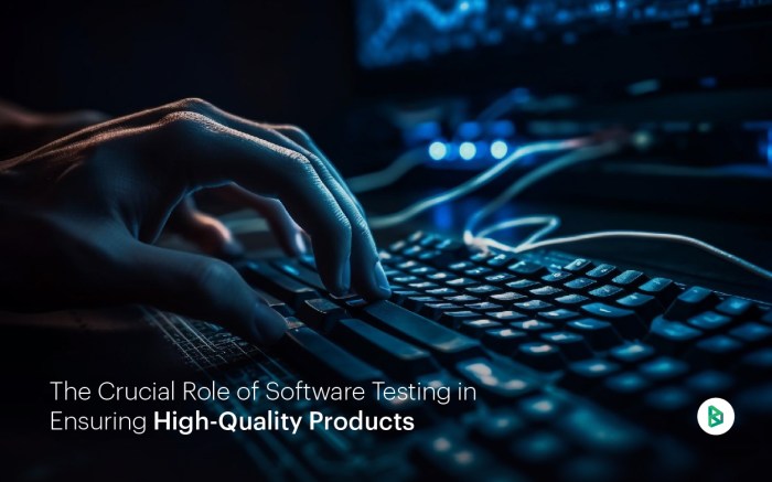 The Role of Testing in Software Development