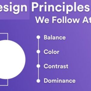 A Beginner’s Guide to Web Design Principles