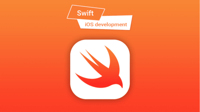 The Basics of Swift for iOS Development