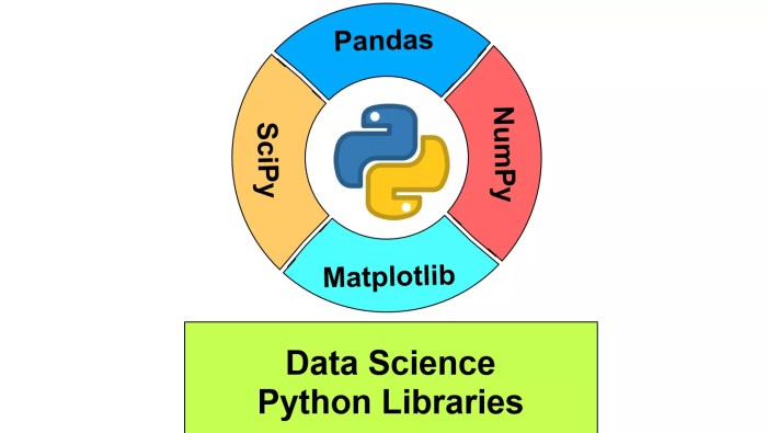 How to Use Python Libraries for Data Analysis