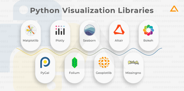 How to Use Python Libraries for Data Analysis