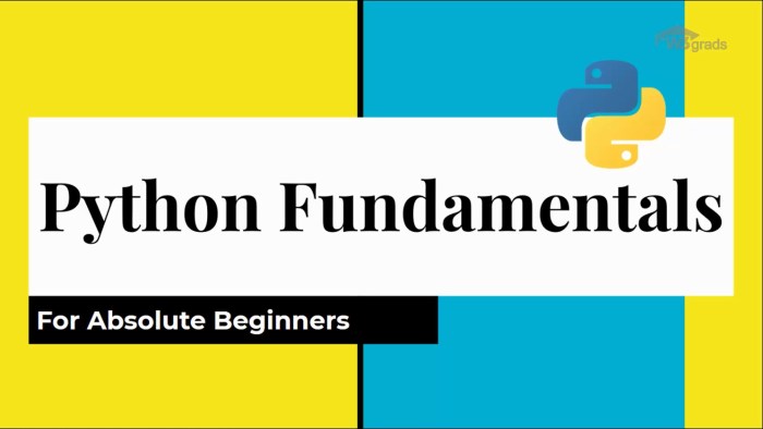 Understanding the Basics of Python for Beginners