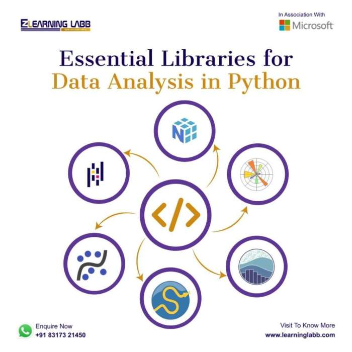 How to Use Python Libraries for Data Analysis