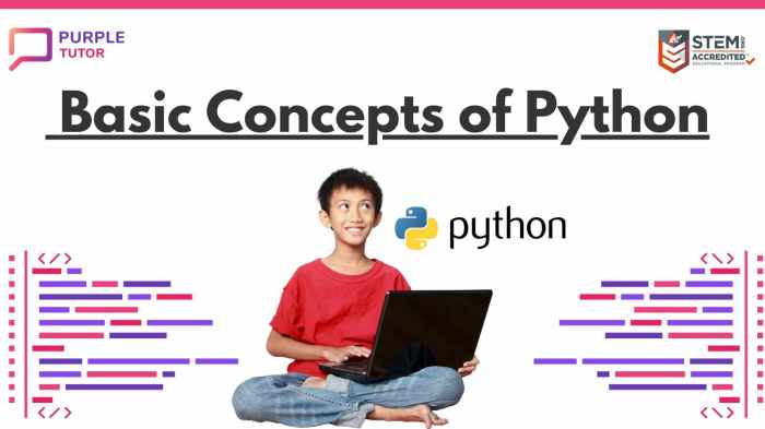 Understanding the Basics of Python for Beginners