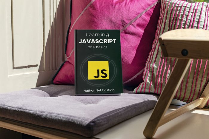 A Beginner's Guide to JavaScript Programming