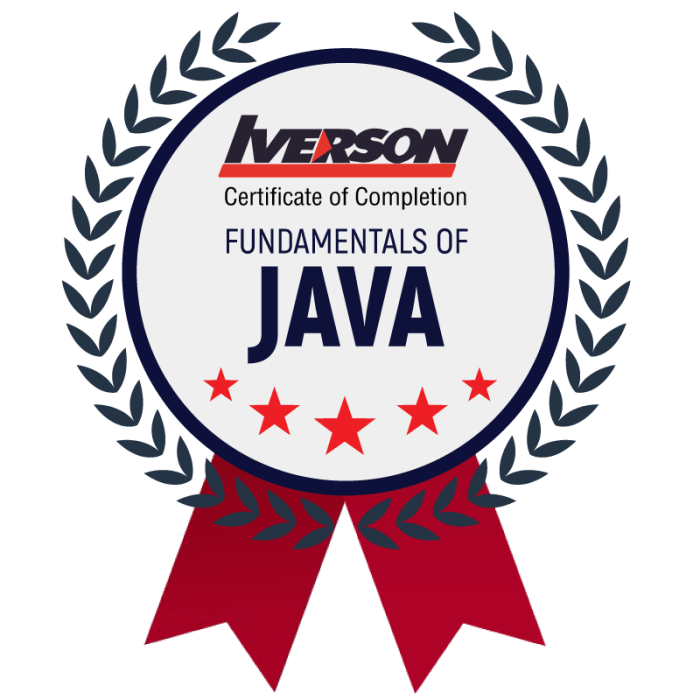 Understanding the Basics of Java Programming