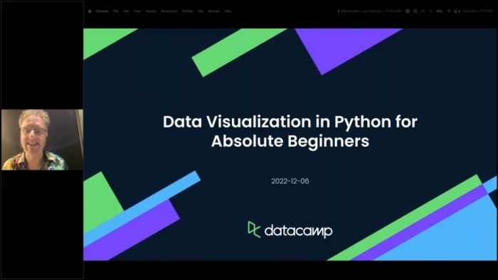 Introduction to Data Visualization with Python