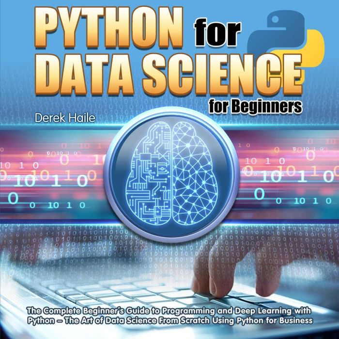 A Beginner’s Guide to Data Science with Python